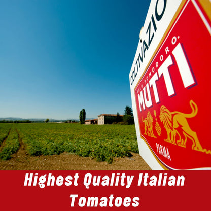 Mutti Double Concentrated Tomato Paste (Doppio Concentrato), 4.5 oz. Tube | Italy’s #1 Brand of Tomatoes | Tube Tomato Paste | Vegan Friendly & Gluten Free | No Additives or Preservatives - 1 Case