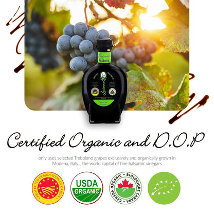 Louianna - Organic Balsamic Vinegar of Modena, High Polyphenol Aged Balsamic Vinegar, Aromatic Vinegar Made of Trebbiano Grapes, With Igp Recognition, 250 mL - Case 1