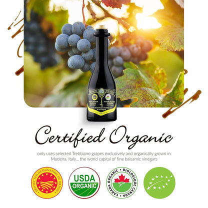 Louianna - Organic Balsamic Vinegar of Modena, High Polyphenol Balsamic Vinegar Dressing, Aged Red Wine Vinegar Made of Trebbiano Grapes, 250 mL - Case 1