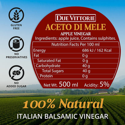 Due Vittorie Apple Vinegar - Easy to Drink Raw Apple Cider Vinegar Aged in Barrique Wine Barrels, Gourmet Vinegar for Cooking, Imported From Italy, All Natural - 16.9 fl oz / 500ml - Case 1